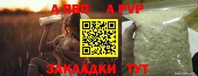 спайс Гай