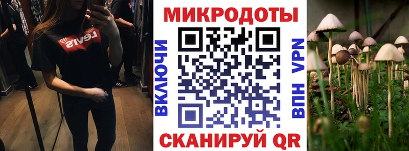 что такое   Иваново  Галлюциногенные грибы ЛСД 